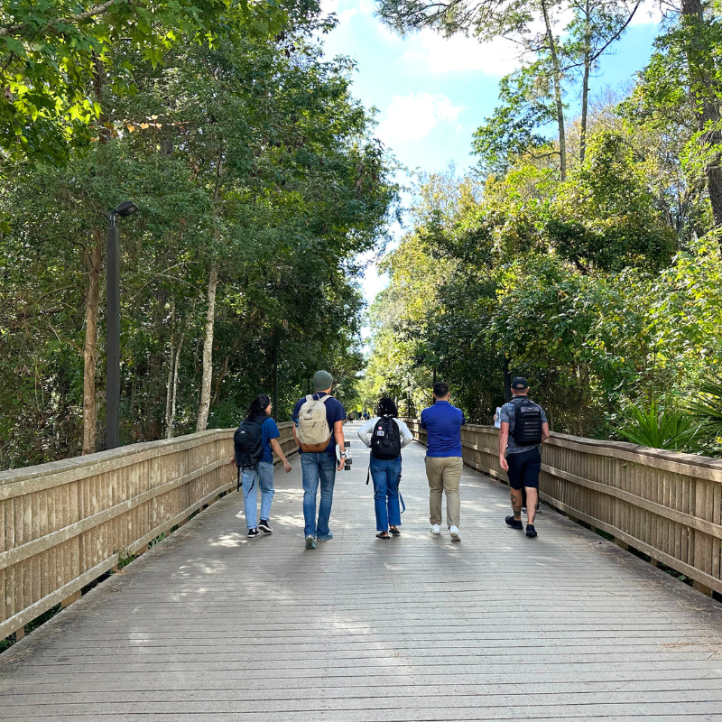 photo of 5 students walking over wooden boardwalk