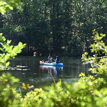 two people kayaking on the lake