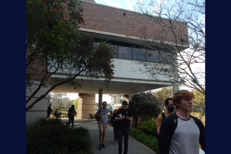 some students walking out of coggin college from its front entrance