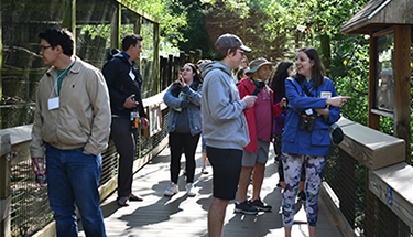 Individuals looking at outdoor environmental exhibits.