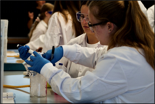 First-year Hicks Honors College students work in a biology lab.