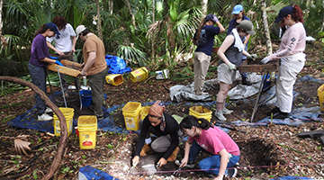 Archeology students digging and sifting through dirt