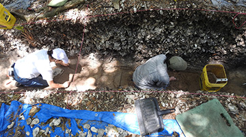 Archeology students digging