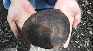 A stone-like artifact that the archeology team found