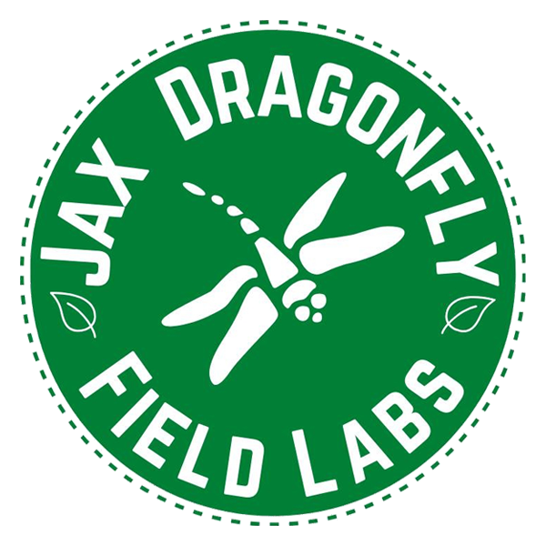 Jax Dragonfly Logo
